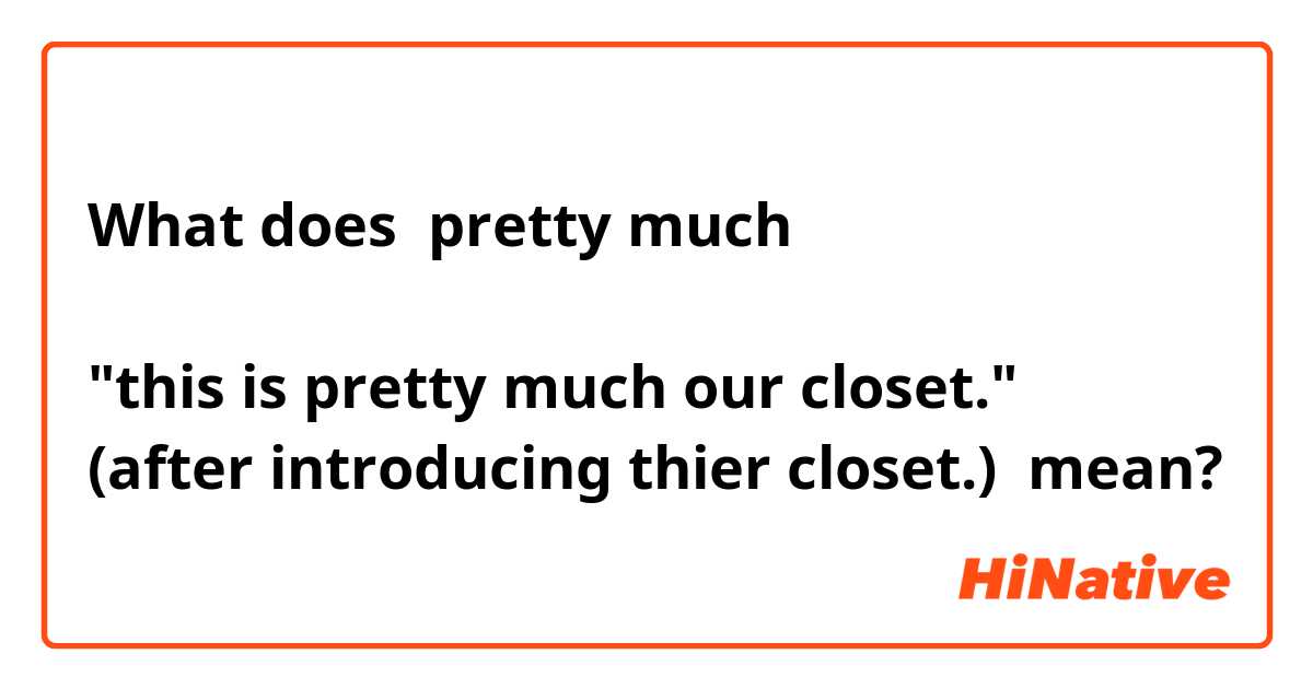 What does pretty much

"this is pretty much our closet."
(after introducing thier closet.) mean?