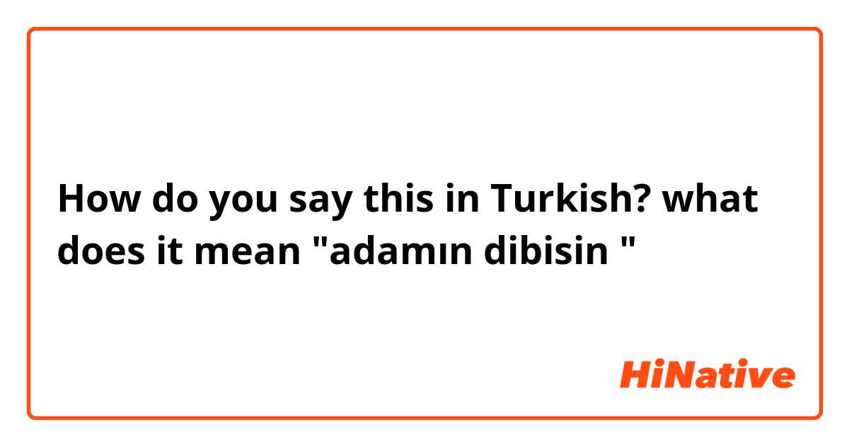 How do you say this in Turkish? what does it mean "adamın dibisin "