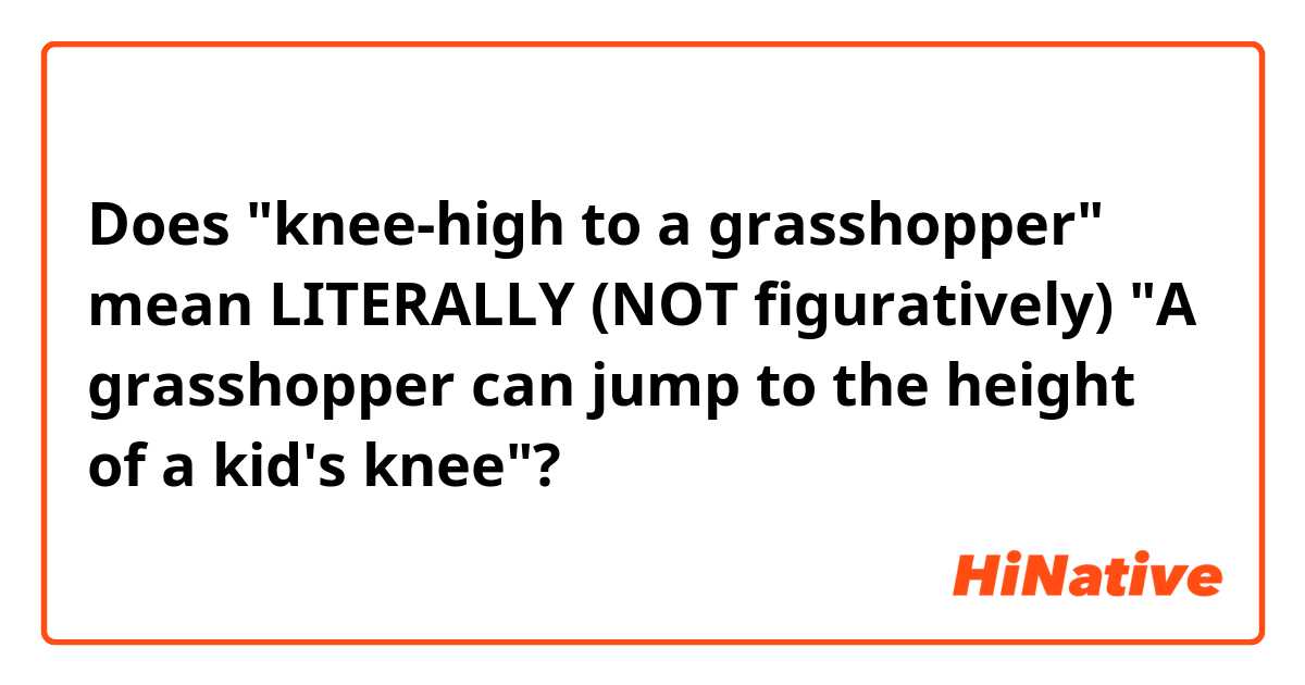 Does "knee-high to a grasshopper" mean LITERALLY (NOT figuratively) "A grasshopper can jump to the height of a kid's knee"?