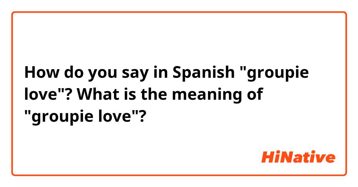 How do you say in Spanish "groupie love"? What is the meaning of "groupie love"?