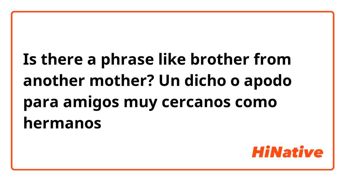Is there a phrase like brother from another mother? Un dicho o apodo para amigos muy cercanos como hermanos