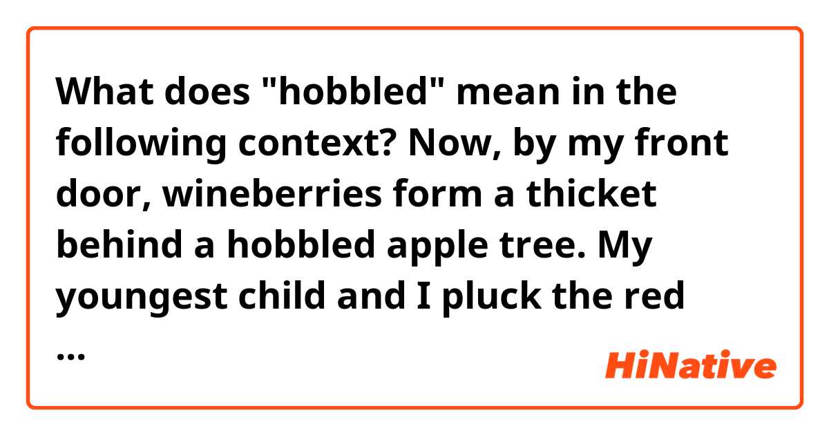 What does "hobbled" mean in the following context?

Now, by my front door, wineberries form a thicket behind a hobbled apple tree. My youngest child and I pluck the red thimbles on summer mornings.