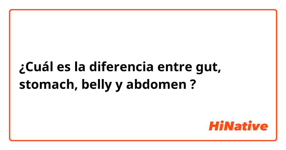 ¿Cuál es la diferencia entre gut, stomach, belly y abdomen ?