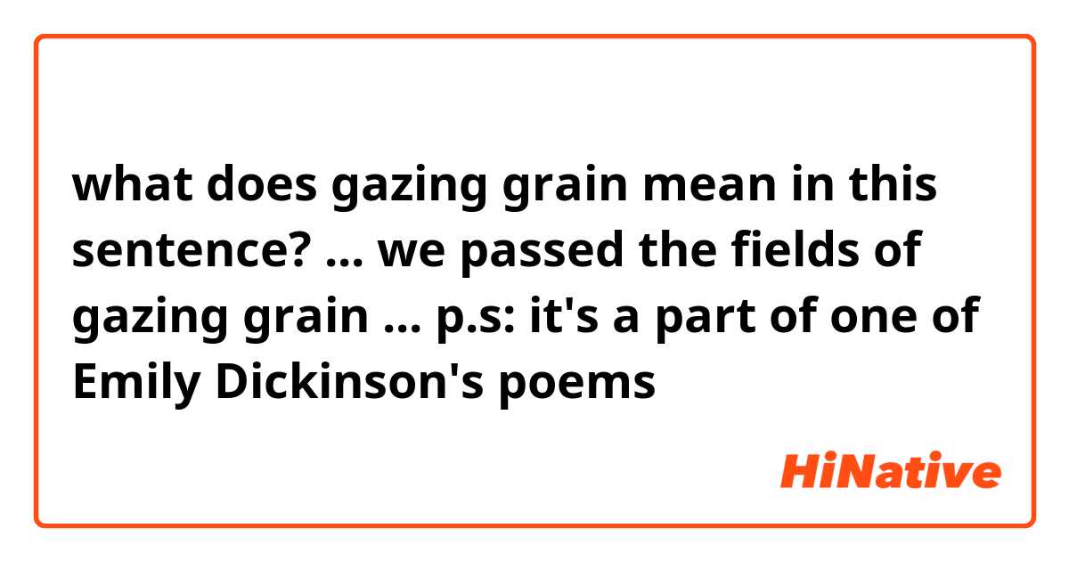 what does gazing grain mean in this sentence?
...
we passed the fields of gazing grain
...

p.s: it's a part of one of Emily Dickinson's poems

