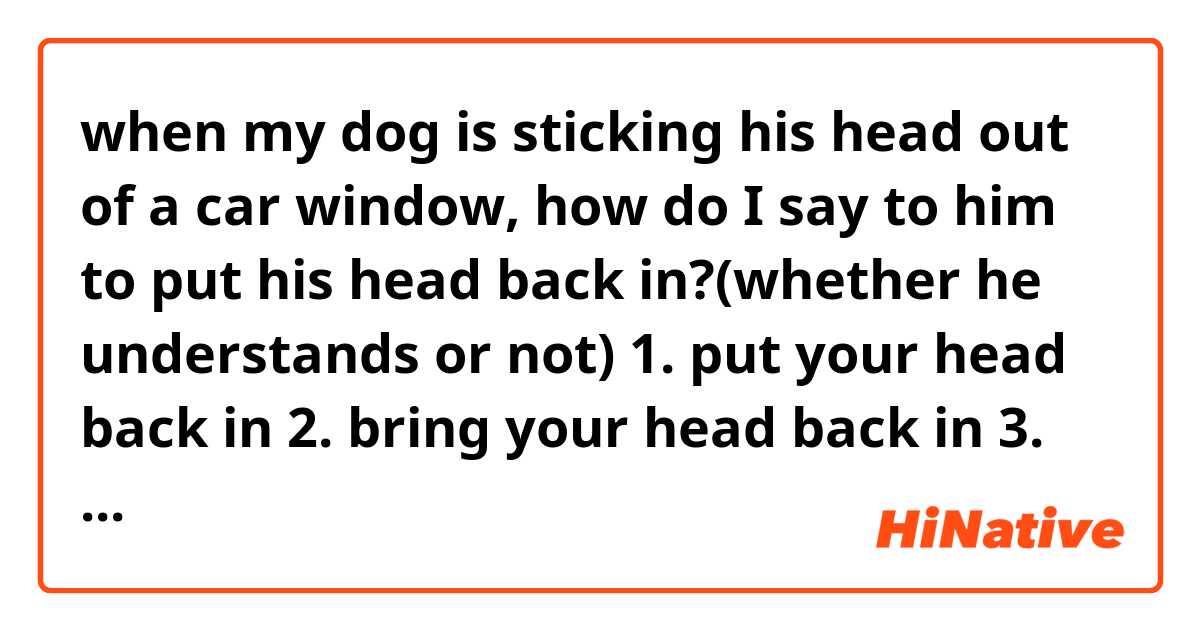 when my dog is sticking his head out of a car window, how do I say to him to put his head back in?(whether he understands or not)

1. put your head back in
2. bring your head back in
3. get your head back in
4. (anything else)