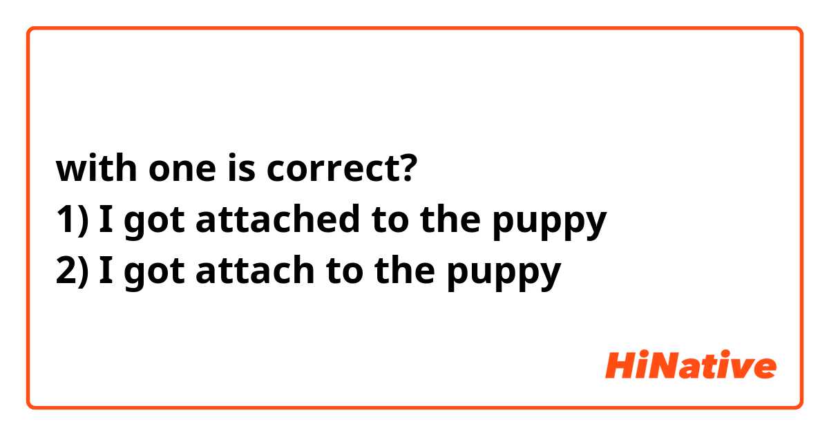 with one is correct?
1) I got attached to the puppy
2) I got attach to the puppy