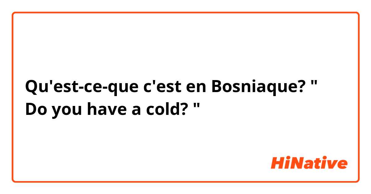 Qu'est-ce-que c'est en Bosniaque? " Do you have a cold? " 