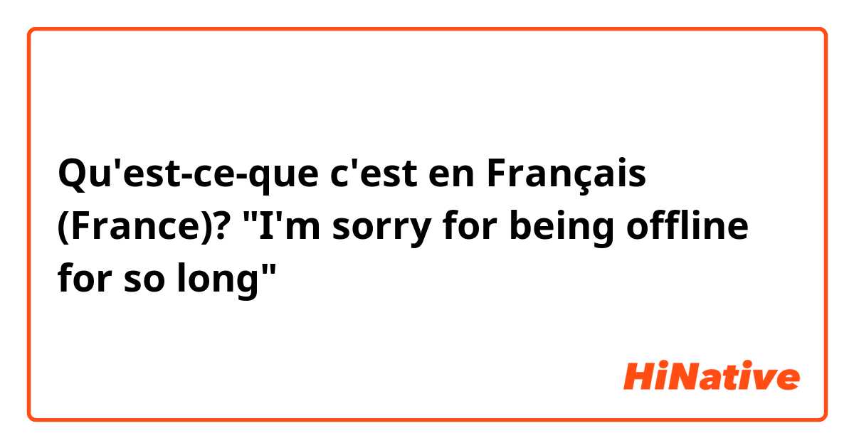 Qu'est-ce-que c'est en Français (France)? "I'm sorry for being offline for so long"