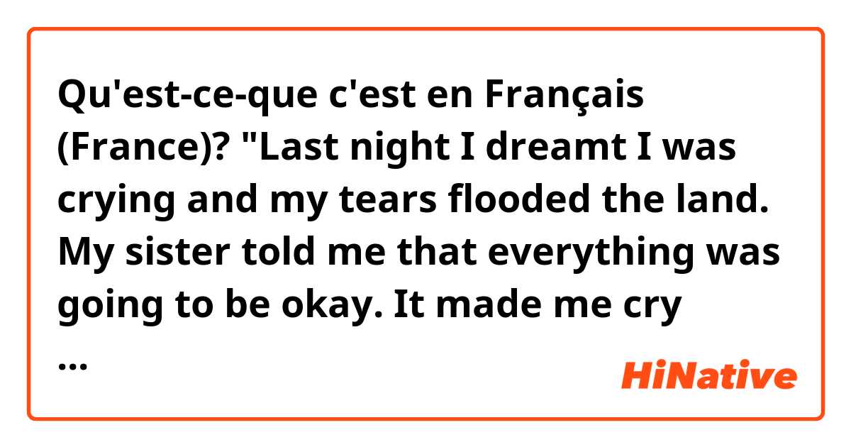 Qu'est-ce-que c'est en Français (France)? "Last night I dreamt I was crying and my tears flooded the land.  My sister told me that everything was going to be okay.   It made me cry even more."