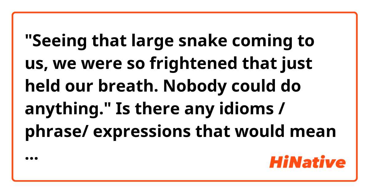 "Seeing that large snake coming to us, we  were so frightened that just held our breath. Nobody could do anything."

Is there any idioms / phrase/ expressions that would mean "to hold one's breath out of fear"?
