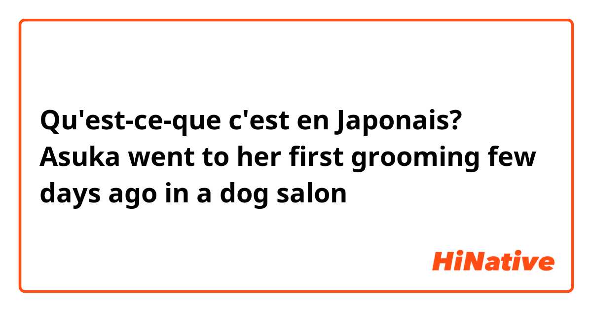 Qu'est-ce-que c'est en Japonais? Asuka went to her first grooming few days ago in a dog salon 