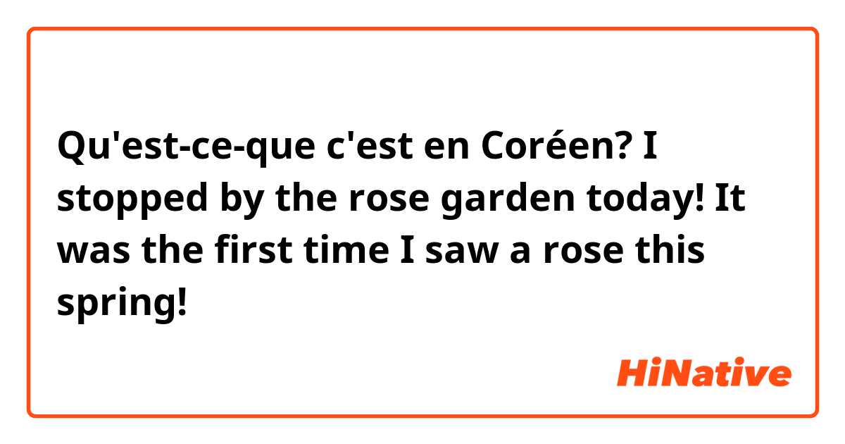 Qu'est-ce-que c'est en Coréen? I stopped by the rose garden today! It was the first time I saw a rose this spring! 