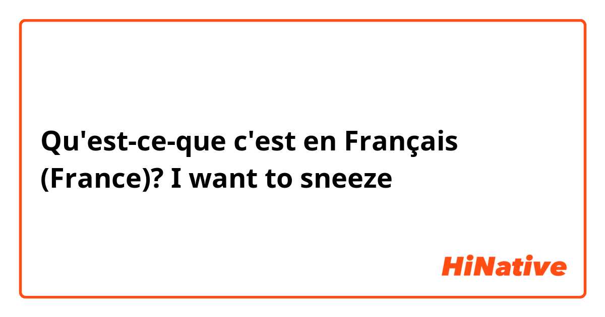 Qu'est-ce-que c'est en Français (France)? I want to sneeze 