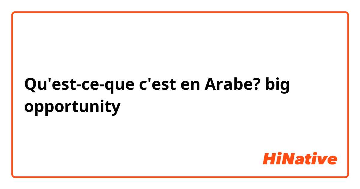 Qu'est-ce-que c'est en Arabe? big opportunity