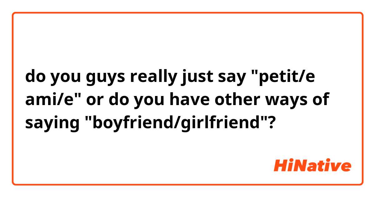 do you guys really just say "petit/e ami/e" or do you have other ways of saying "boyfriend/girlfriend"?