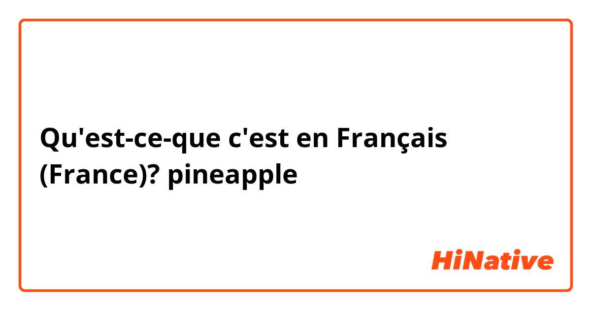 Qu'est-ce-que c'est en Français (France)? pineapple 🍍
