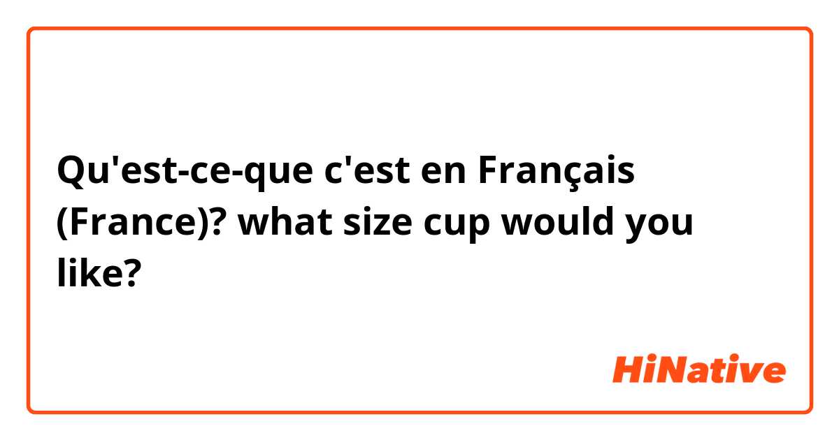 Qu'est-ce-que c'est en Français (France)? what size cup would you like?