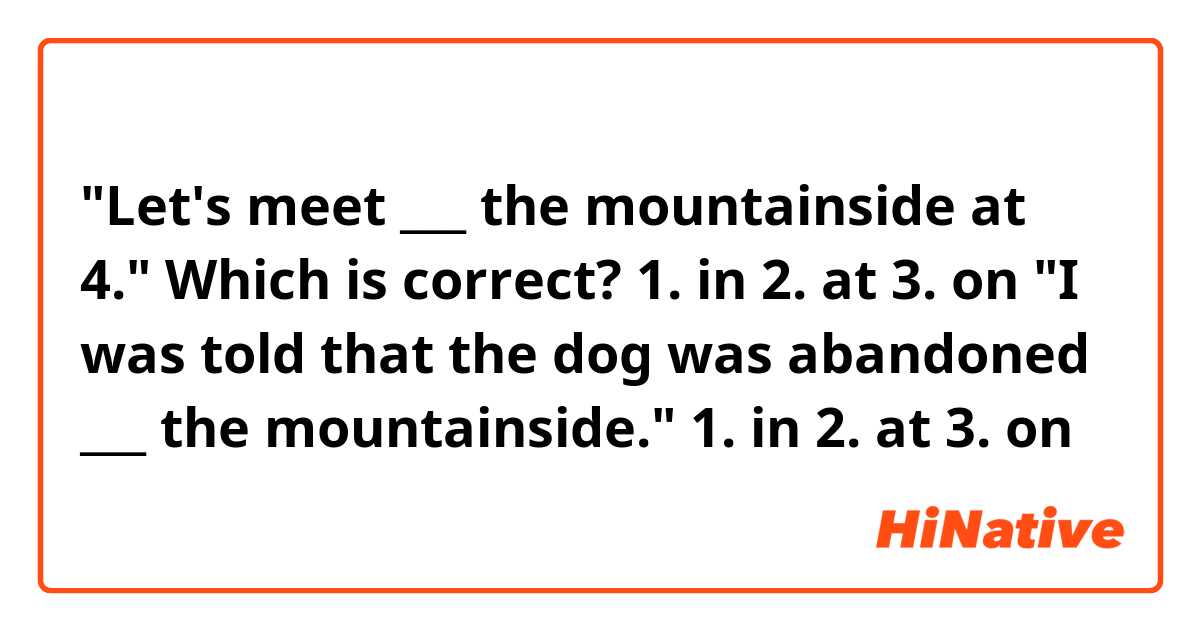 "Let's meet ___ the mountainside at 4."

Which is correct?
1. in
2. at
3. on


"I was told that the dog was abandoned ___ the mountainside."
1. in
2. at
3. on