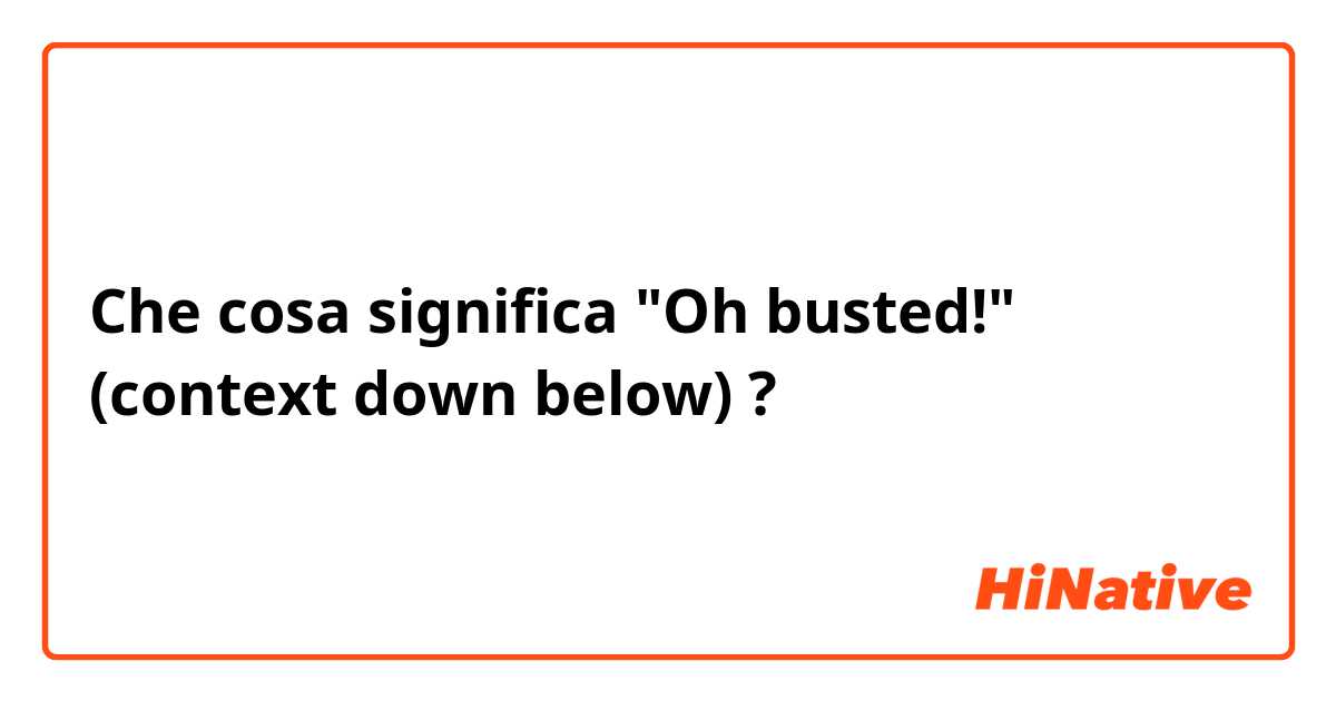 Che cosa significa "Oh busted!" (context down below)?