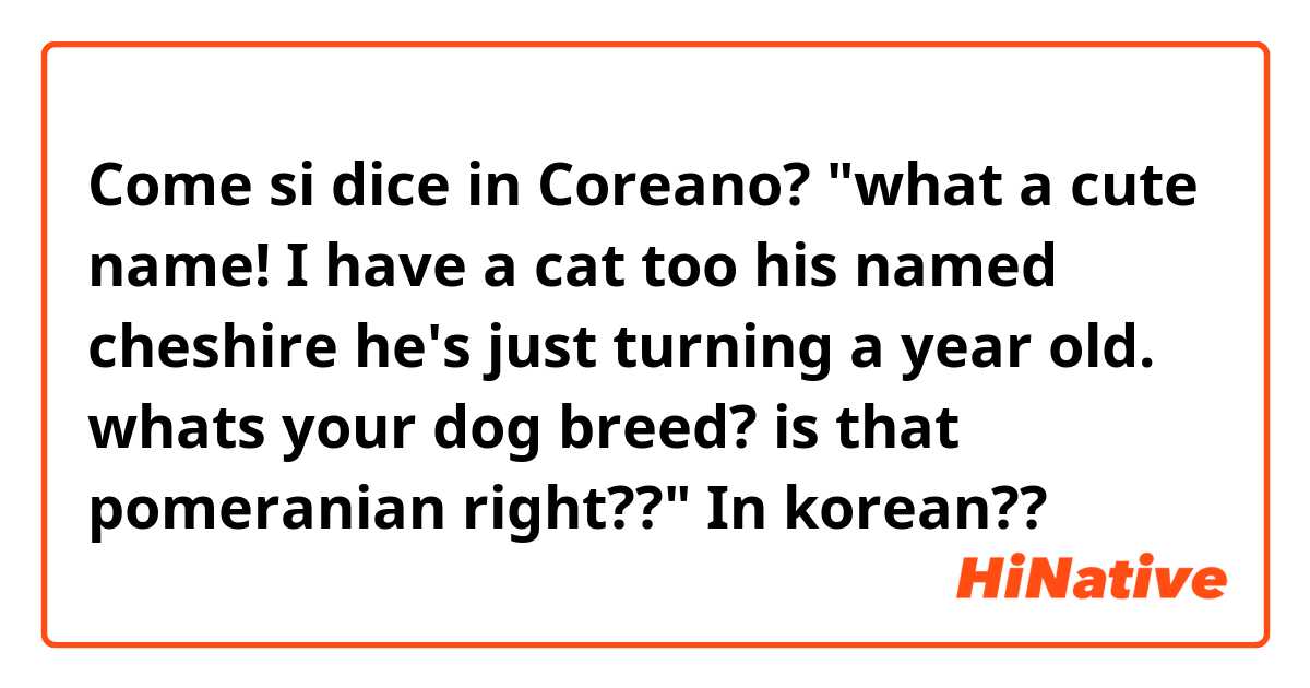 Come si dice in Coreano? "what a cute name! I have a cat too his named cheshire he's just turning a year old. whats your dog breed? is that pomeranian right??"

In korean??