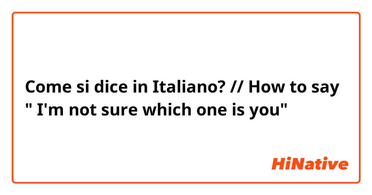 Come si dice in Italiano? // How to say " I'm not sure which one is you"