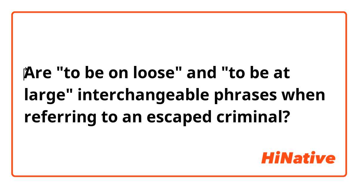 ‎‎Are "to be on loose" and "to be at large" interchangeable phrases when referring to an escaped criminal?