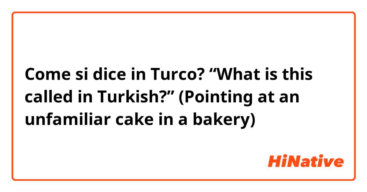 Come si dice in Turco? “What is this called in Turkish?” (Pointing at an unfamiliar cake in a bakery)