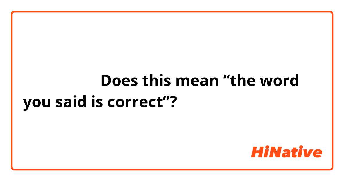 你说的话是对的。

Does this mean “the word you said is correct”?