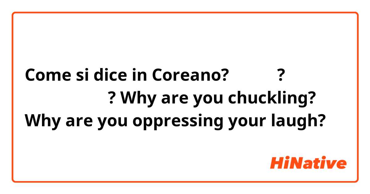 Come si dice in Coreano? 왜 웃어요? 왜 웃음을 억누르고 있습니까?
Why are you chuckling? Why are you oppressing your laugh?
