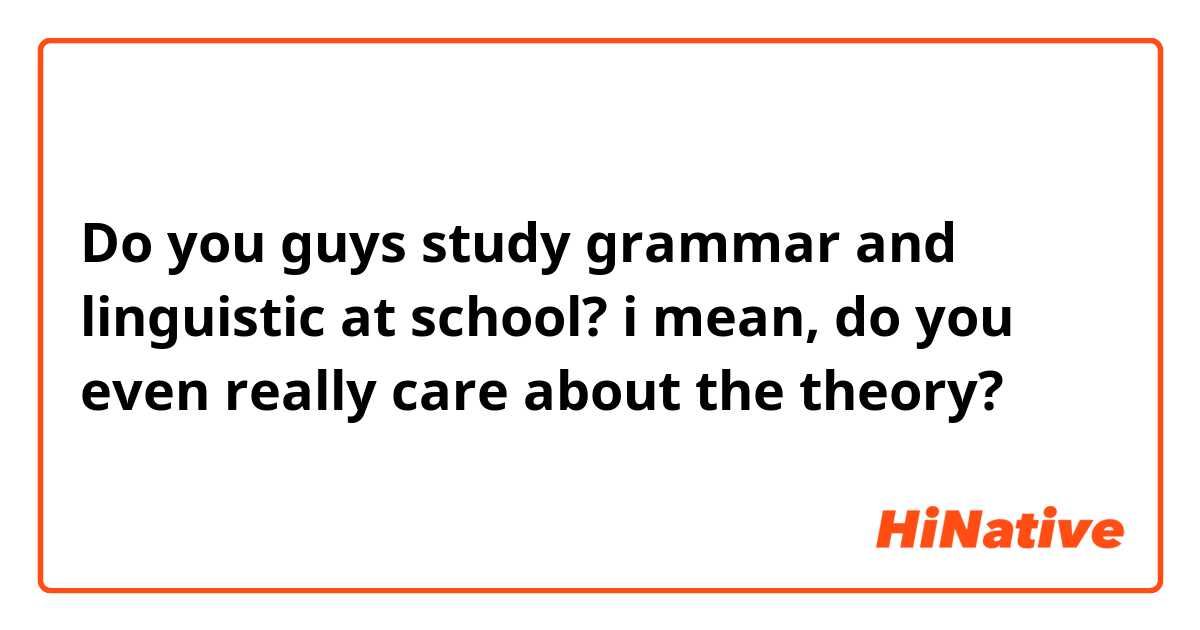 Do you guys study grammar and linguistic at school? i mean, do you even really care about the theory?