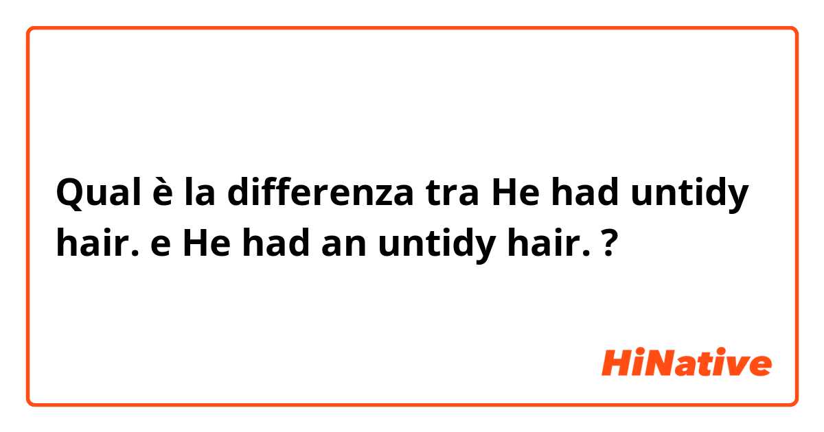 Qual è la differenza tra  He had untidy hair. e He had an untidy hair. ?