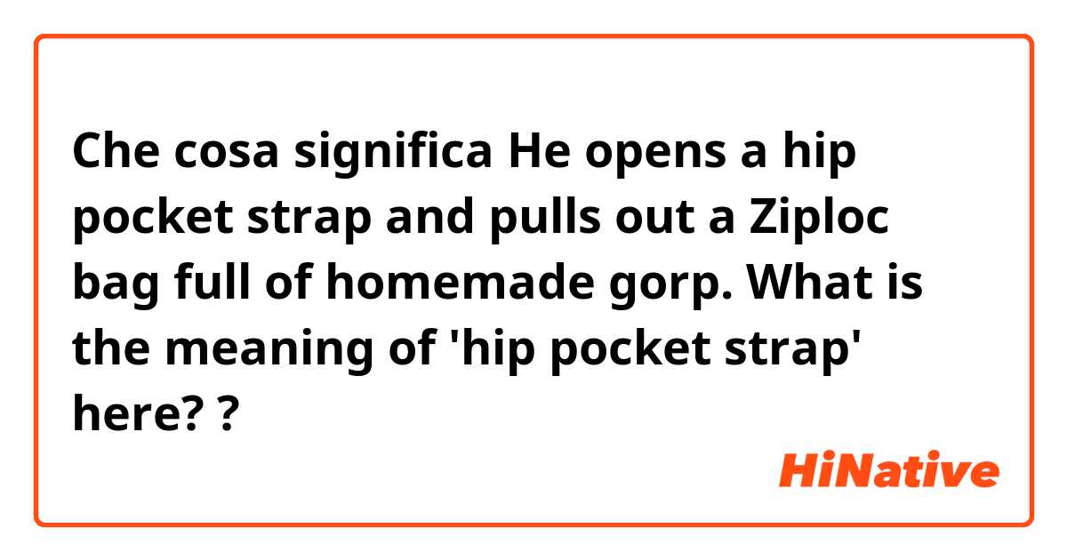 Che cosa significa He opens a hip pocket strap and pulls out a Ziploc bag full of homemade gorp. 

What is the meaning of 'hip pocket strap' here??