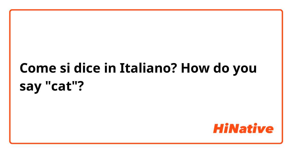 Come si dice in Italiano? How do you say "cat"?