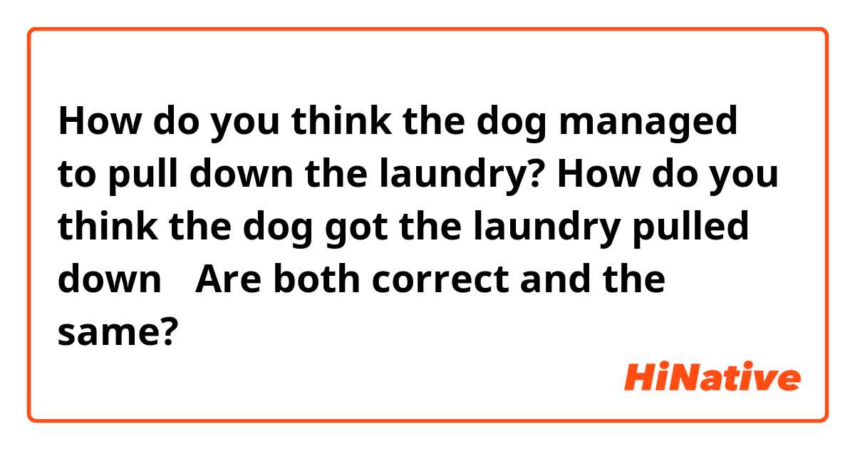 How do you think the dog managed to pull down the laundry?
How do you think the dog got the laundry pulled down？
Are both correct and the same?