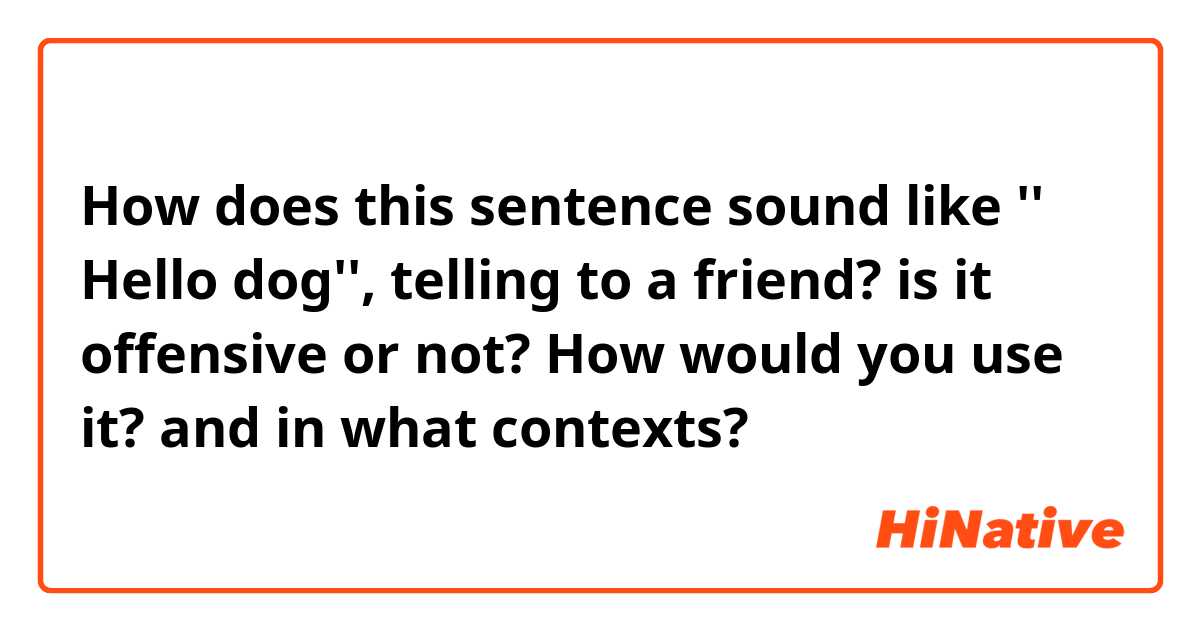 How does this sentence sound like '' Hello dog'', telling to a friend? is it offensive or not? How would you use it? and in what contexts?