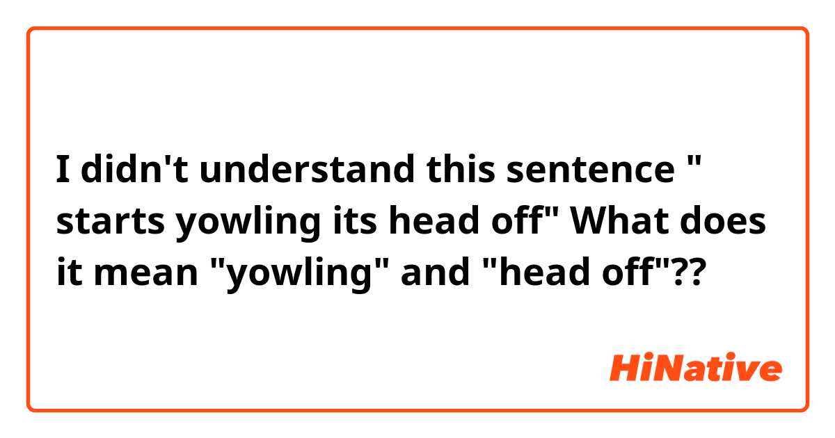 I didn't understand this sentence
" starts yowling its head off"
What does it mean "yowling" and "head off"?? 