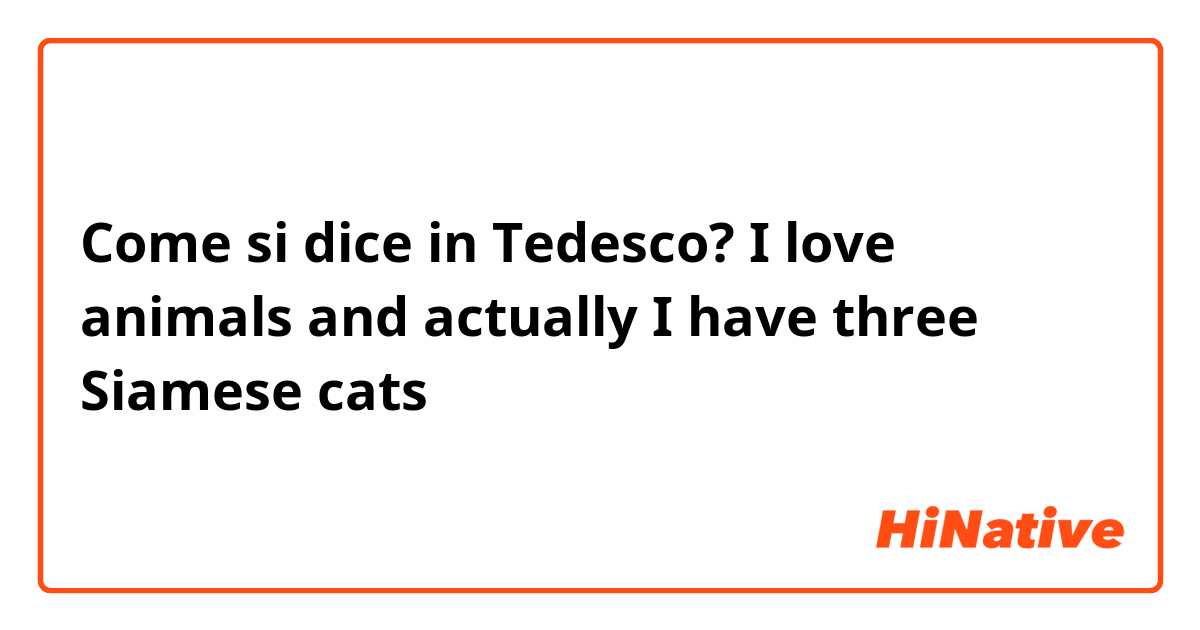 Come si dice in Tedesco? I love animals and actually I have three Siamese cats