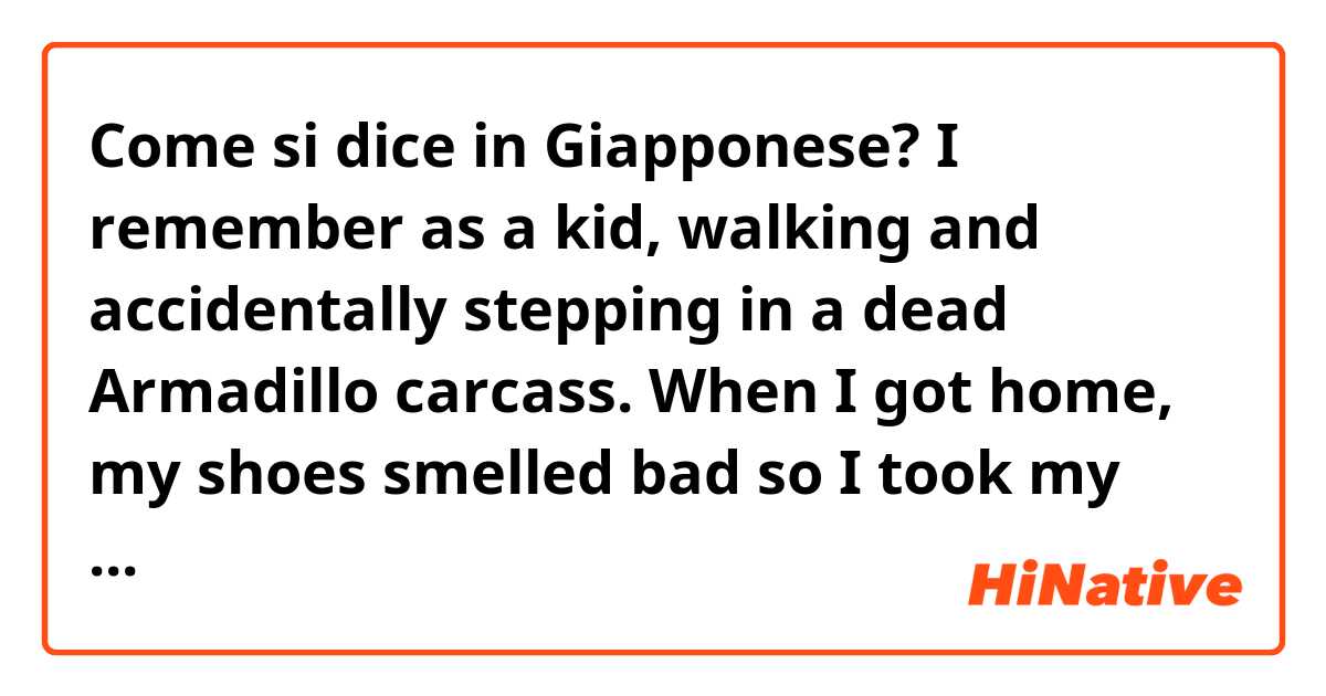 Come si dice in Giapponese? I remember as a kid, walking and accidentally stepping in a dead Armadillo carcass. When I got home, my shoes smelled bad so I took my shoes off. That is when I thought about what I could potentially be bringing into my home