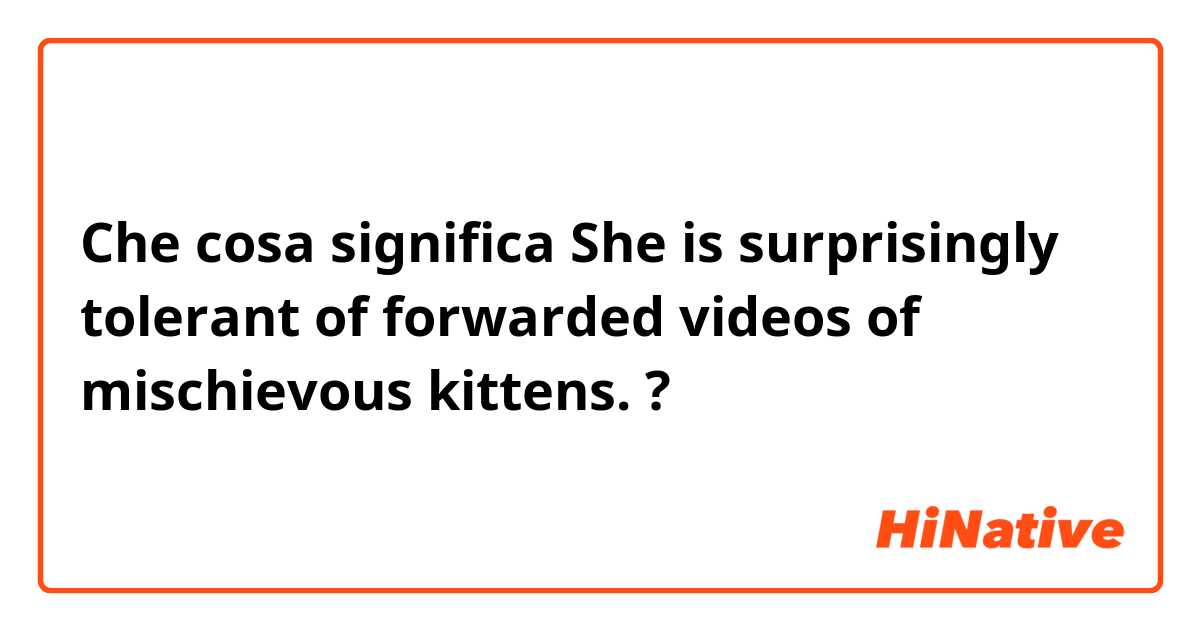 Che cosa significa She is surprisingly tolerant of forwarded videos of mischievous kittens.?