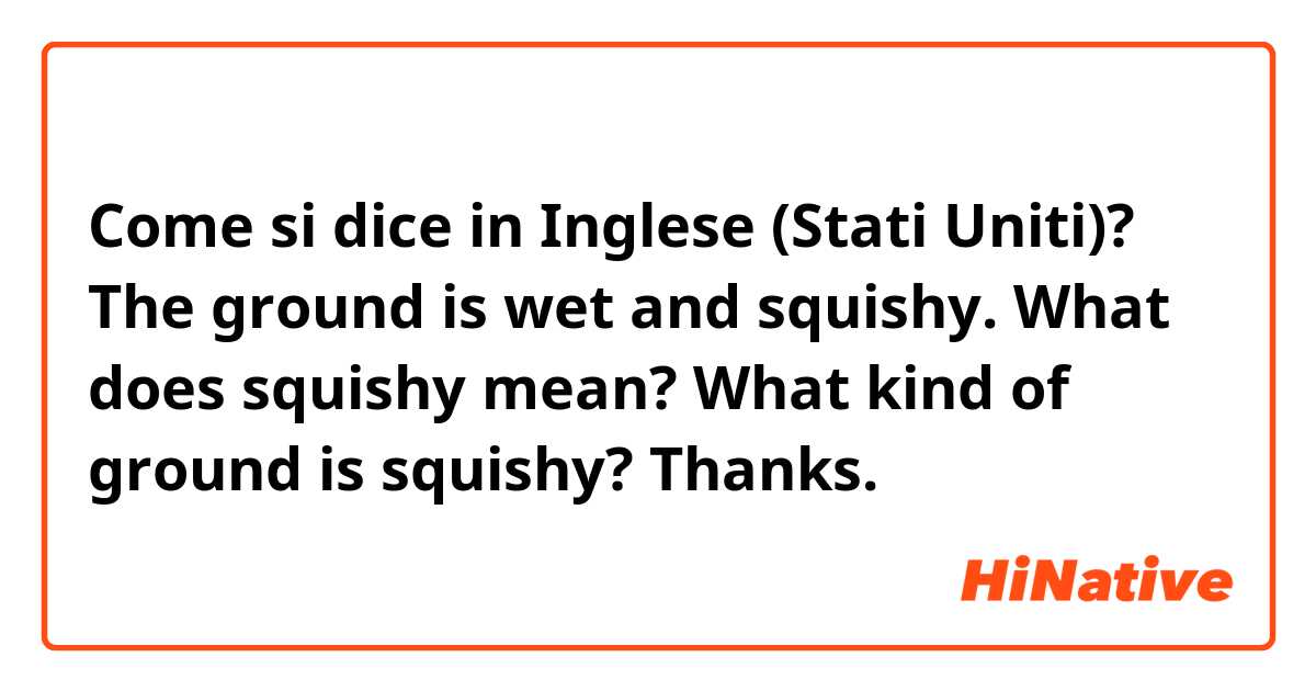 Come si dice in Inglese (Stati Uniti)? The ground is wet and squishy. 

What does squishy mean? What kind of ground is squishy?

Thanks.