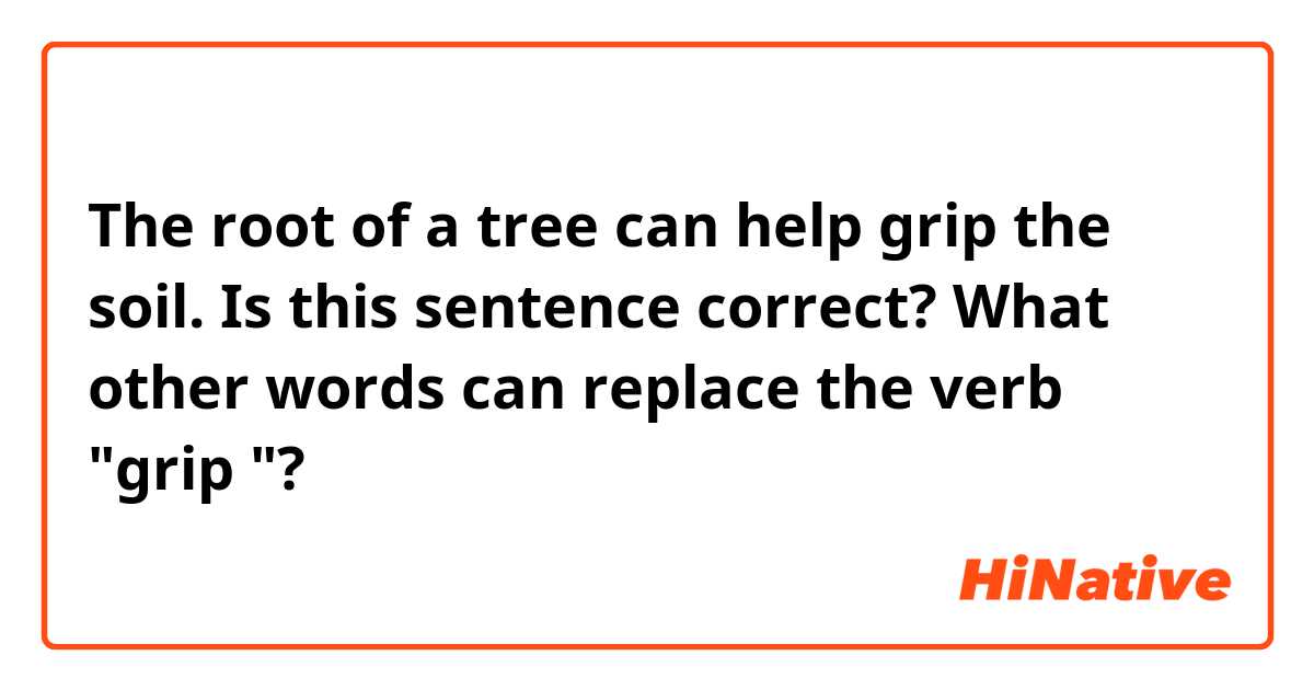 The root of a tree can help grip the soil. Is this sentence correct? What other words can replace the verb "grip "?