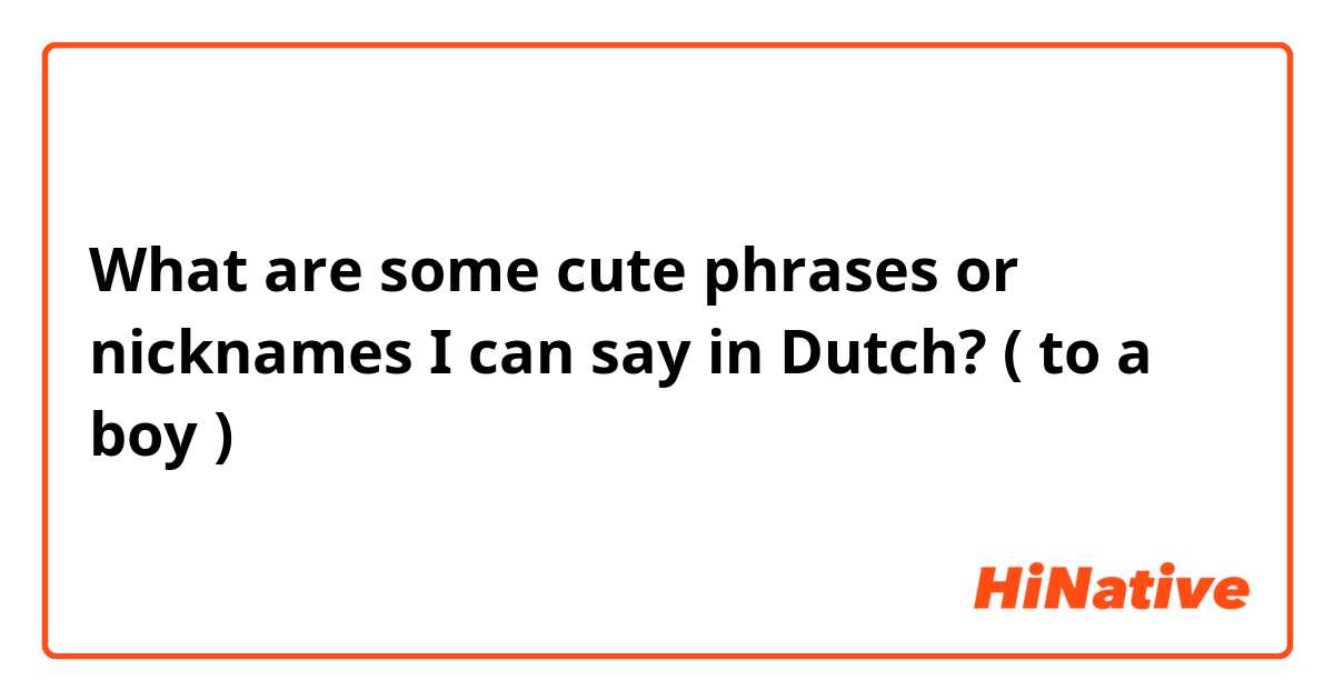 What are some cute phrases or nicknames I can say in Dutch? ( to a boy ) 