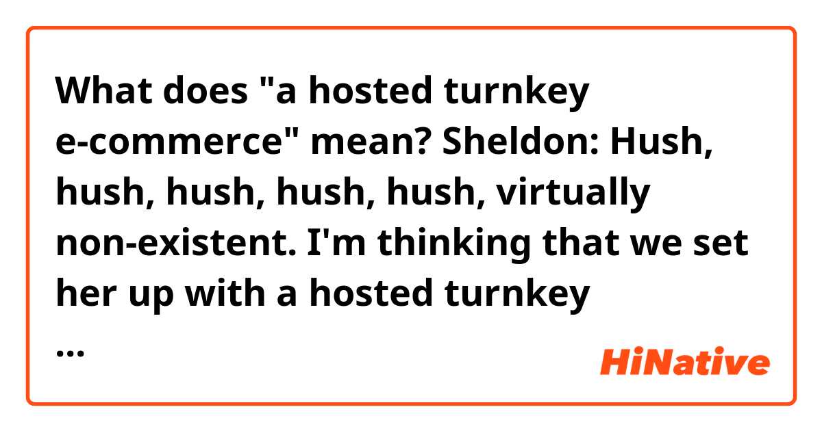 What does "a hosted turnkey e-commerce" mean?

Sheldon: Hush, hush, hush, hush, hush, virtually non-existent. I'm thinking that we set her up with a hosted turnkey e-commerce system to start.