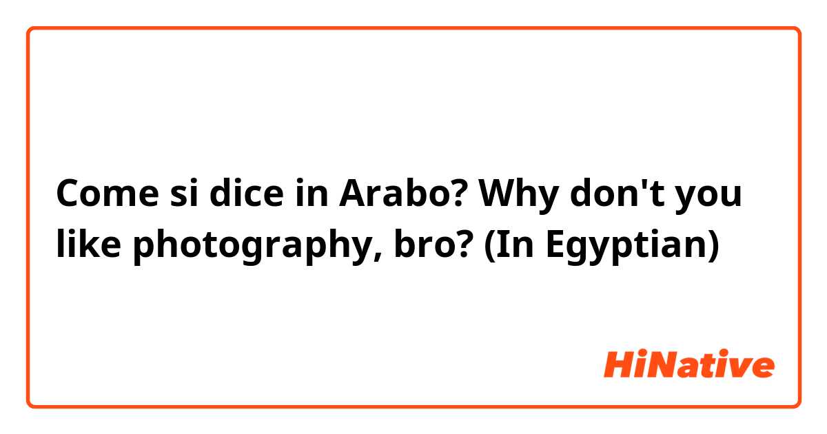 Come si dice in Arabo? Why don't you like photography, bro? (In Egyptian) 