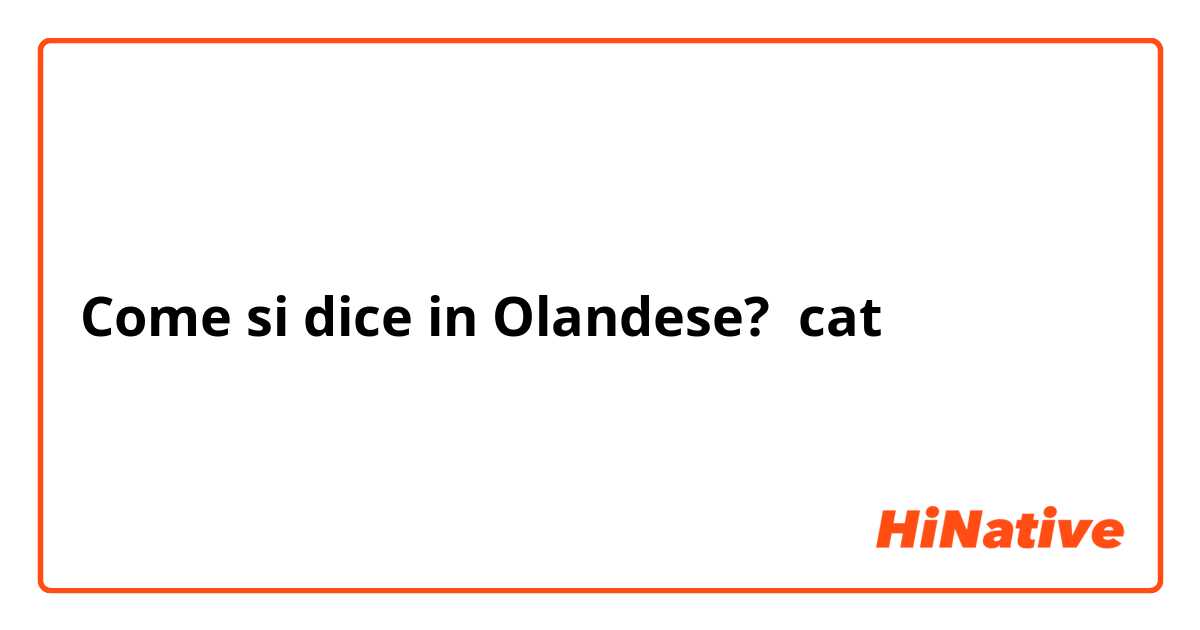 Come si dice in Olandese? cat