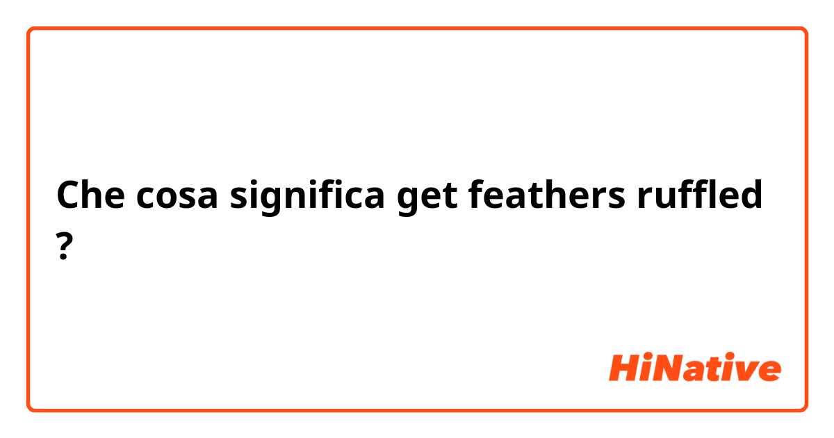 Che cosa significa get feathers ruffled ?