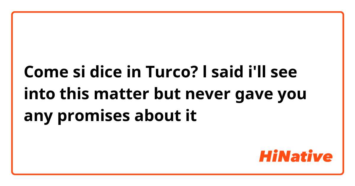 Come si dice in Turco? l said i'll see into this matter but never gave you any promises about it