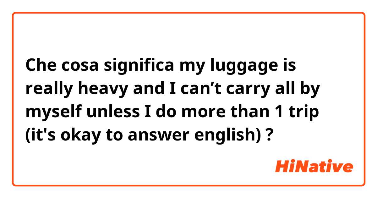 Che cosa significa my luggage is really heavy and I can’t carry all by myself unless I do more than 1 trip
(it's okay to answer english)?
