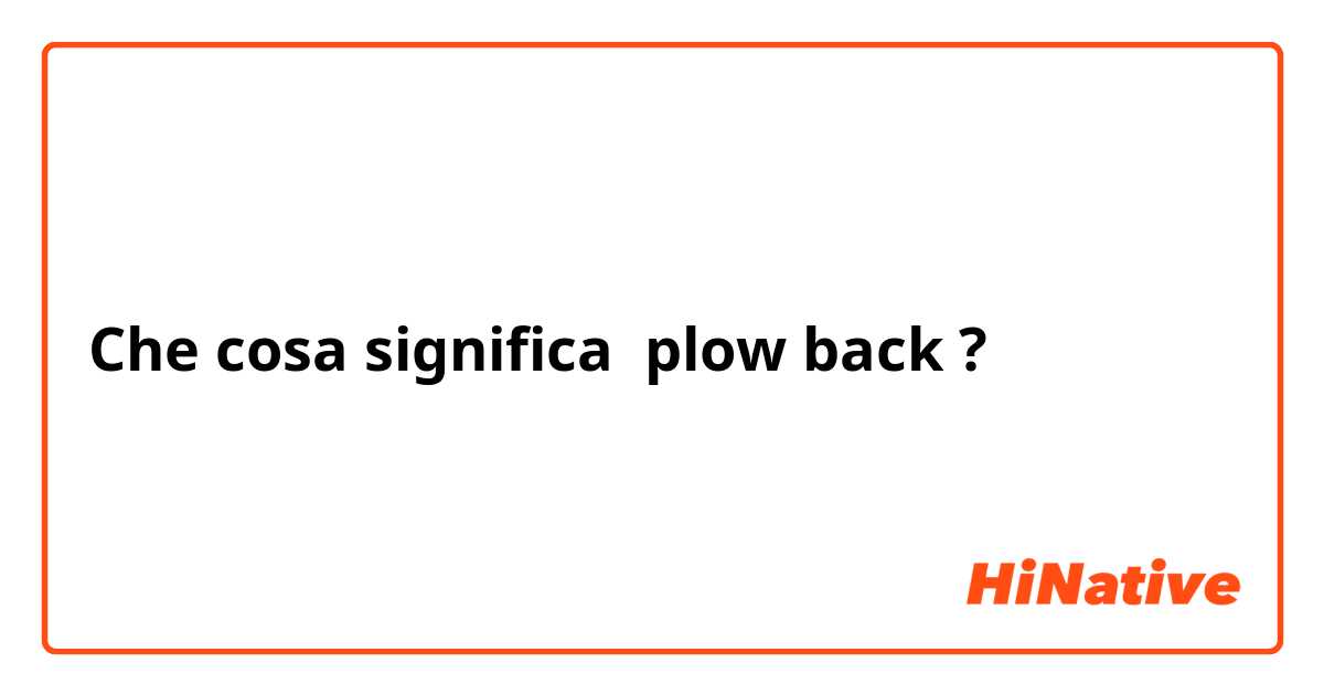 Che cosa significa plow back?