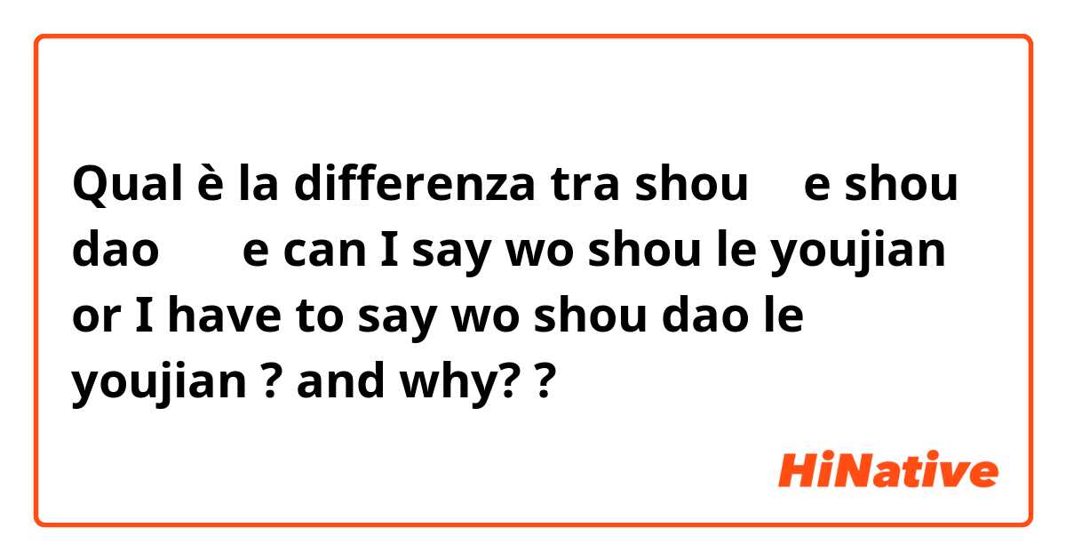 Qual è la differenza tra  shou 收 e shou dao 收到 e can I say wo shou le youjian or I have to say wo shou dao le youjian ? and why? ?